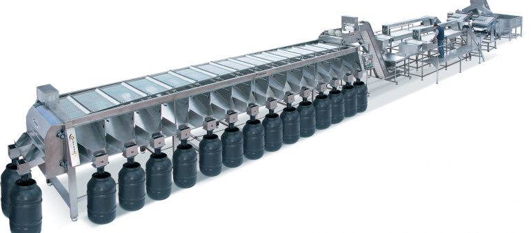 ZEYTİN SAP KOPARTMA, SEÇME VE ELEME HATTI